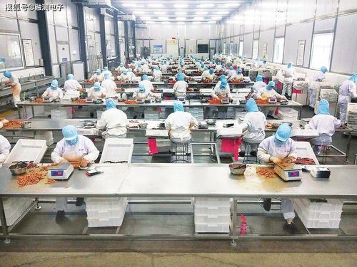 溫度傳感器 食品加工行業(yè)提質(zhì)增效的關(guān)鍵推手